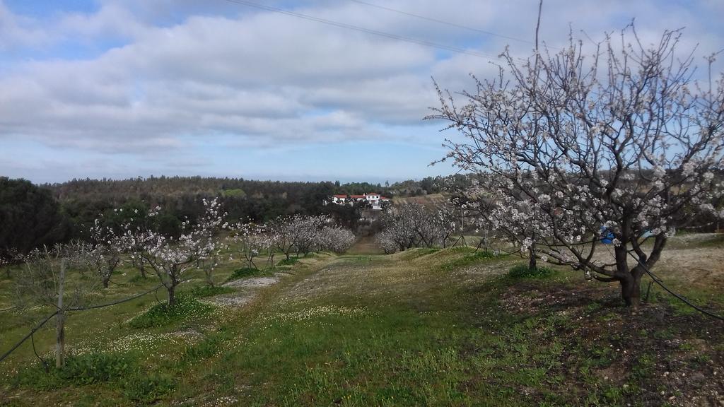 Casa De Besteiros Arneiro da Volta Zewnętrze zdjęcie